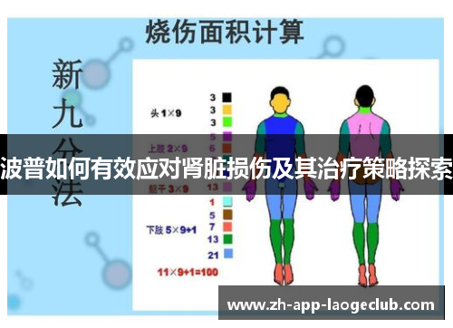 波普如何有效应对肾脏损伤及其治疗策略探索 波普如何有效应对肾脏损伤及其治疗策略探索