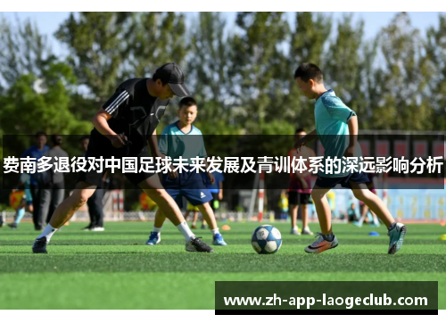 费南多退役对中国足球未来发展及青训体系的深远影响分析 费南多退役对中国足球未来发展及青训体系的深远影响分析