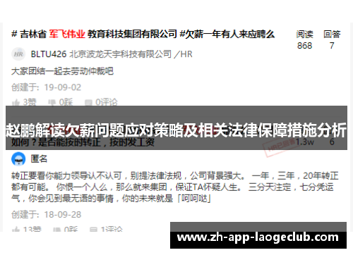 赵鹏解读欠薪问题应对策略及相关法律保障措施分析 赵鹏解读欠薪问题应对策略及相关法律保障措施分析