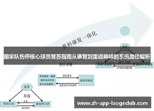 国家队伤停核心球员复苏指南从康复到重返巅峰的系统路径解析