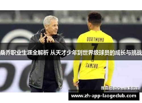 桑乔职业生涯全解析 从天才少年到世界级球员的成长与挑战 桑乔职业生涯全解析 从天才少年到世界级球员的成长与挑战