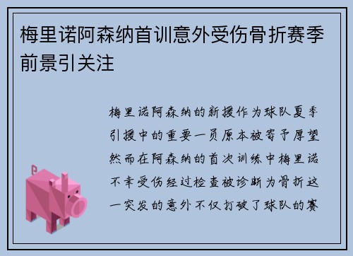 梅里诺阿森纳首训意外受伤骨折赛季前景引关注