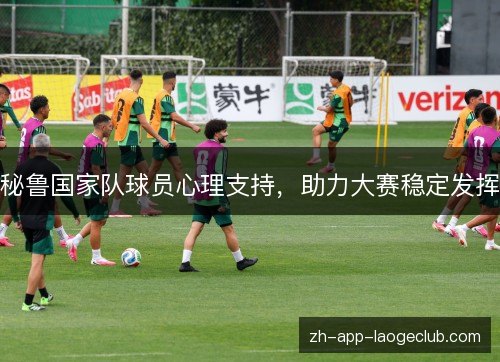 秘鲁国家队球员心理支持，助力大赛稳定发挥